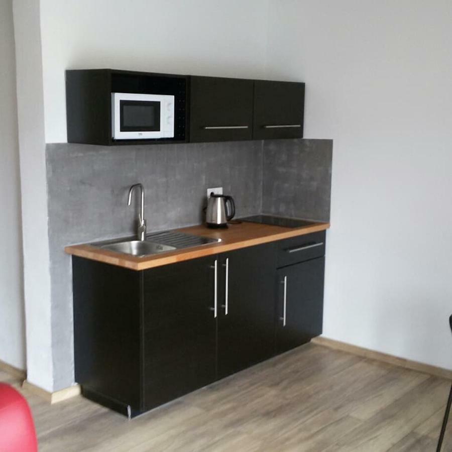Pod Bukovkou Apartment Petrov nad Desnou Екстериор снимка
